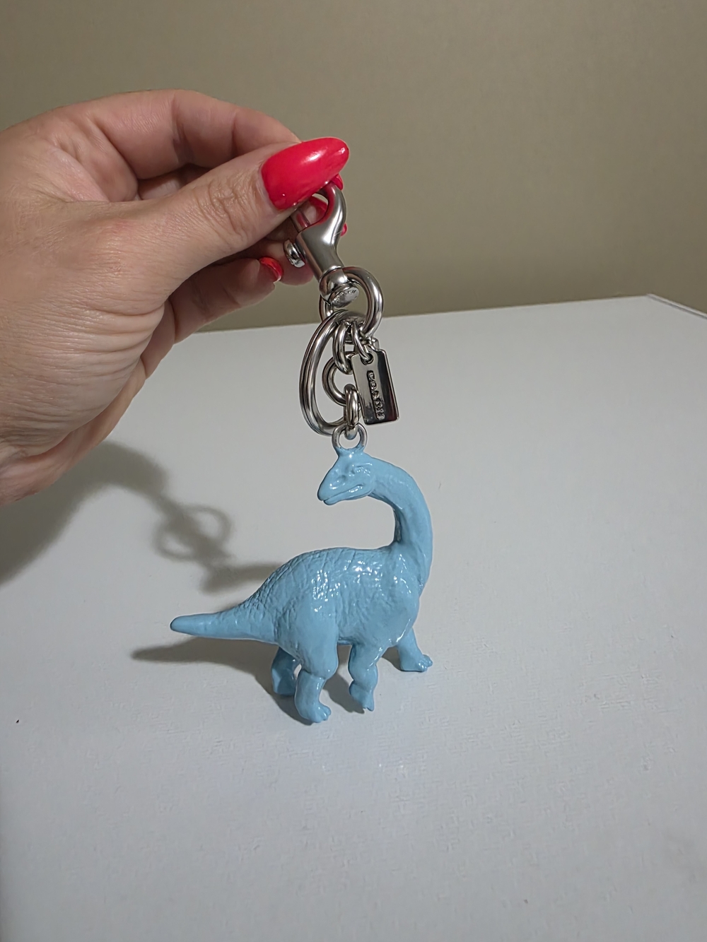 Coach Dino Charm